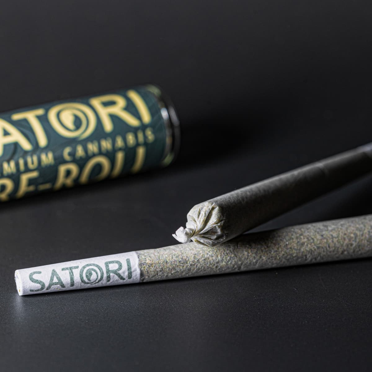 Satori Pre Roll Single | The Hive #11 | Satori