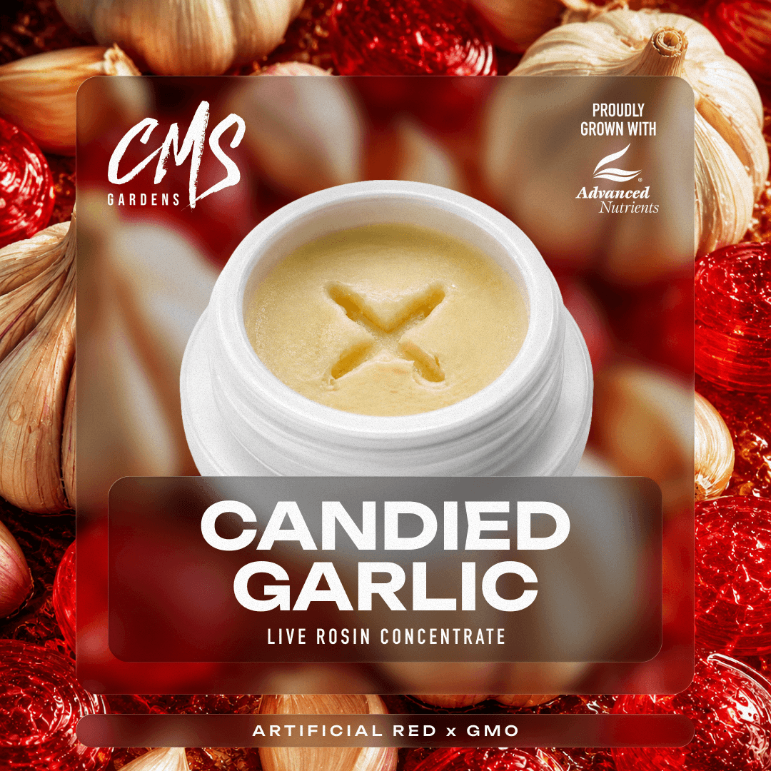 CMS Gardens Candied Garlic | 90µ Live Rosin | 1g