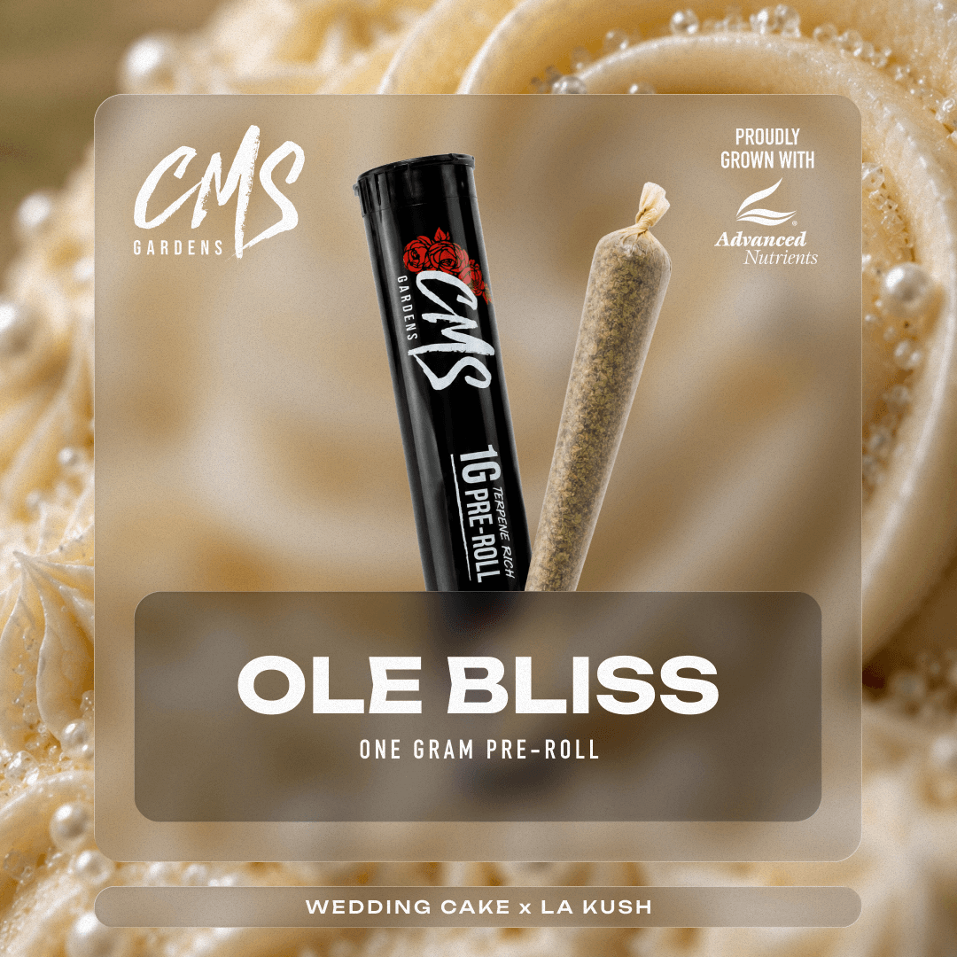 CMS Gardens Ole Bliss | Preroll | 1g