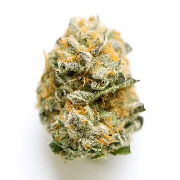 Dreamscape Farms Freezerburn