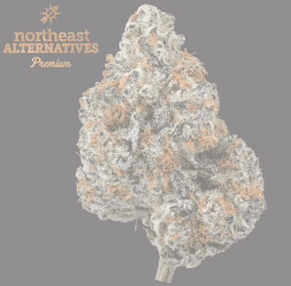 Northeast Alternatives Punch Breath | Pre-Pack Smalls | 3.5g