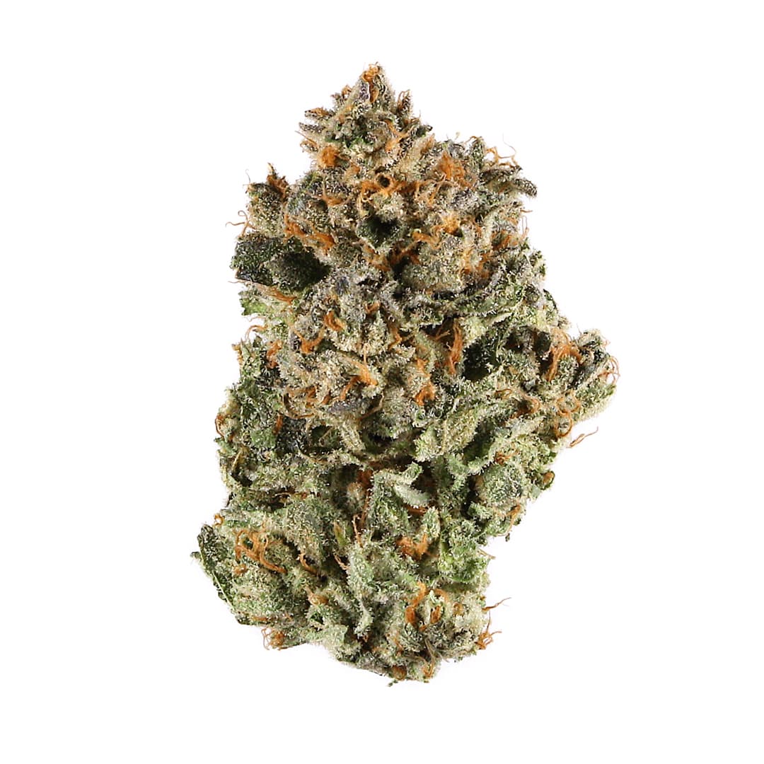 Phat Panda Flower
