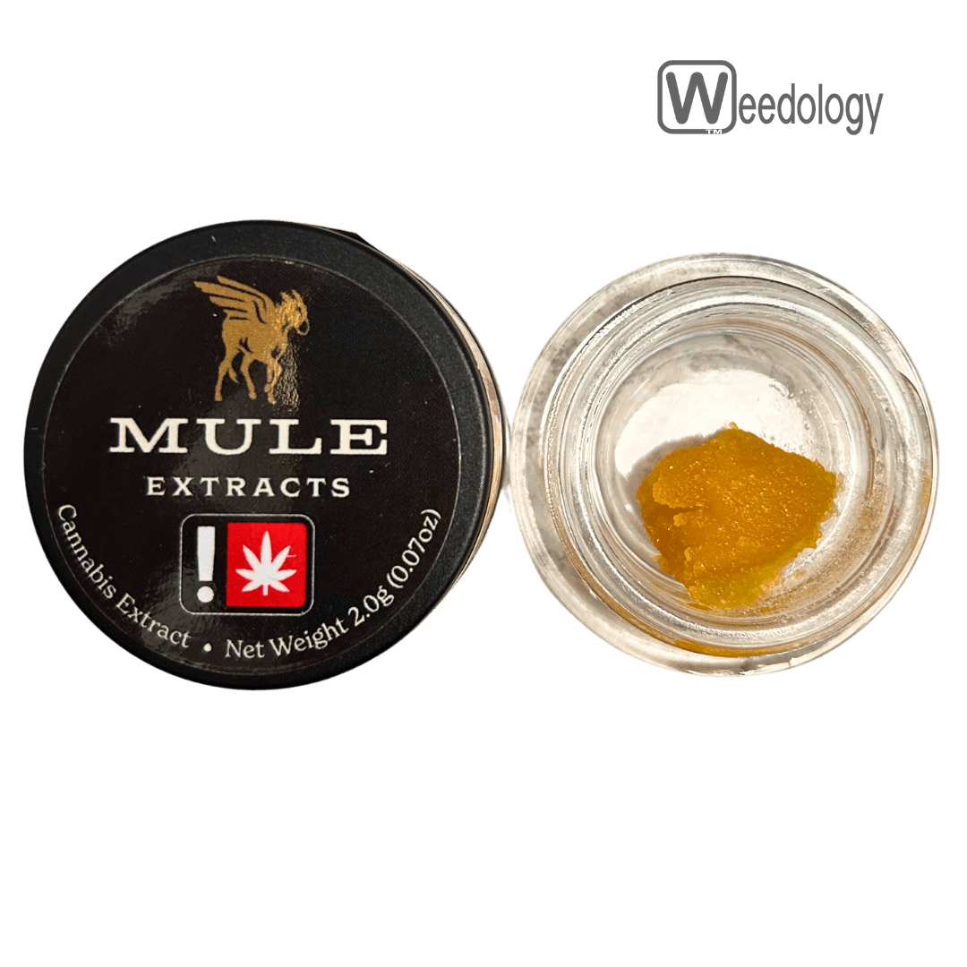 Mule Extracts Mule Extracts 2g STEAKHOUSE LR