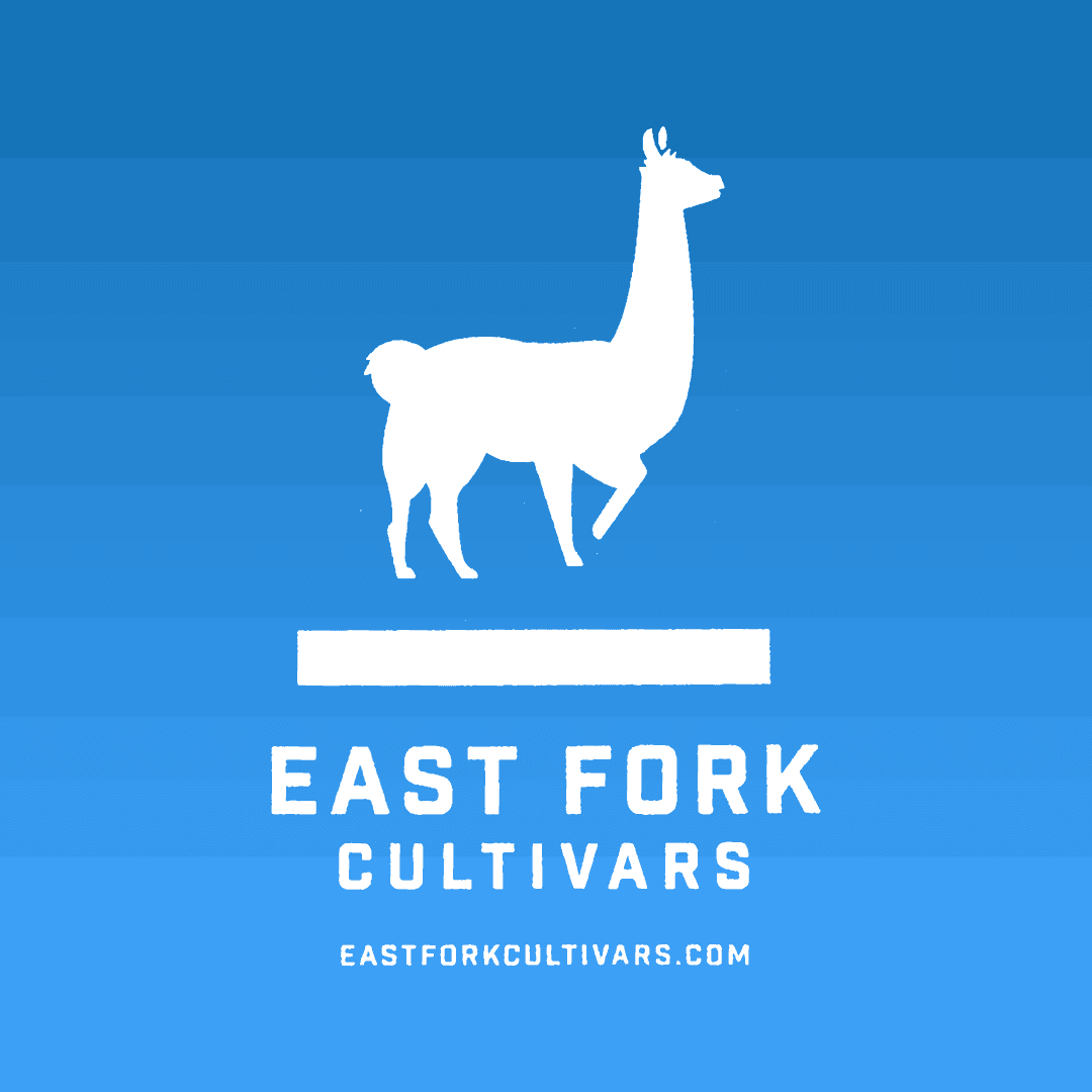 East Fork Cultivars Llama King Create 1pk | East Fork Cultivars