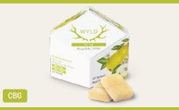 WYLD CBD 200mg Pear CBD:CBG Gummies (10-pack)