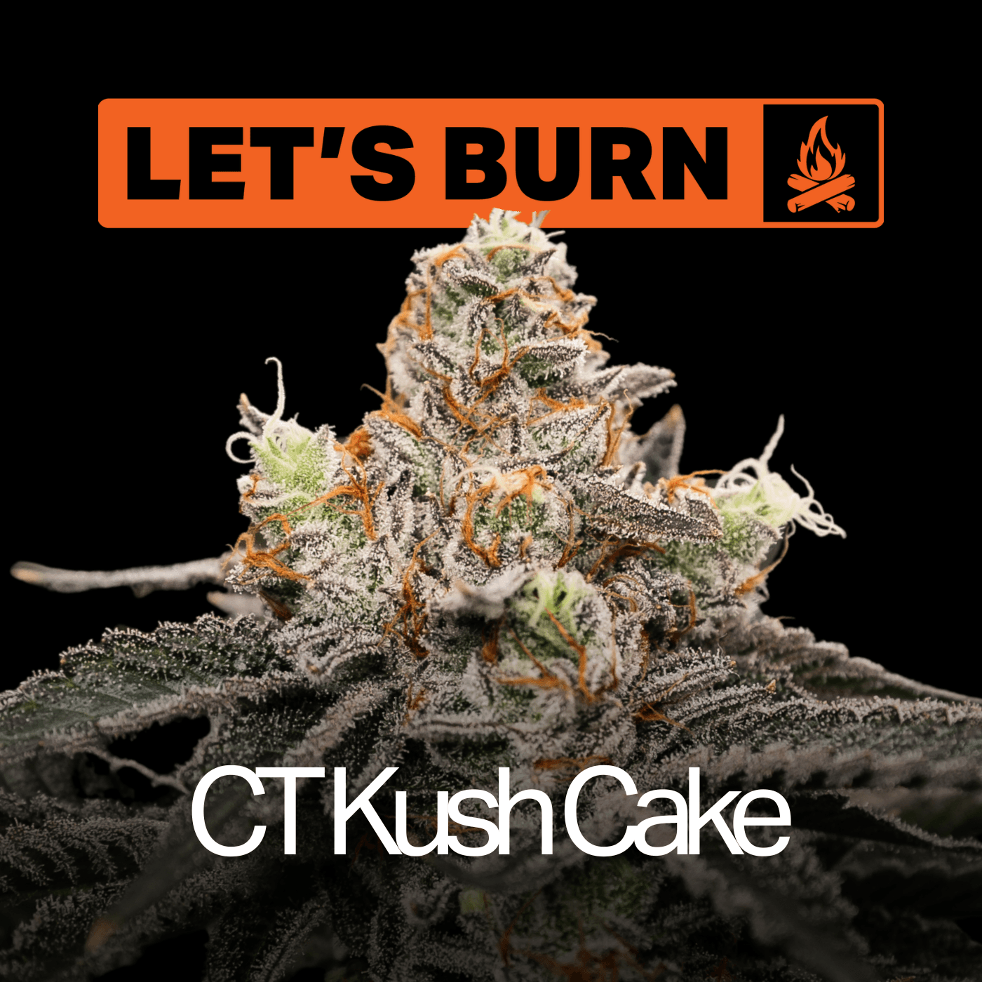 Let's Burn Let's Burn CT Kush Cake 3.5g 0085