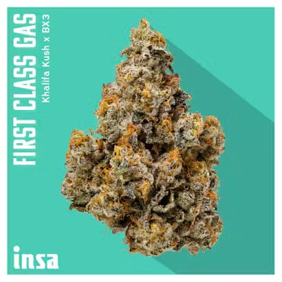 Insa First Class Gas
