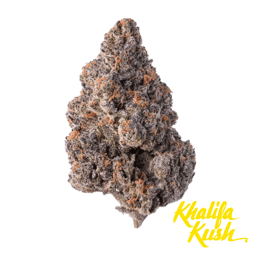 Khalifa Kush Violet Sky Flower