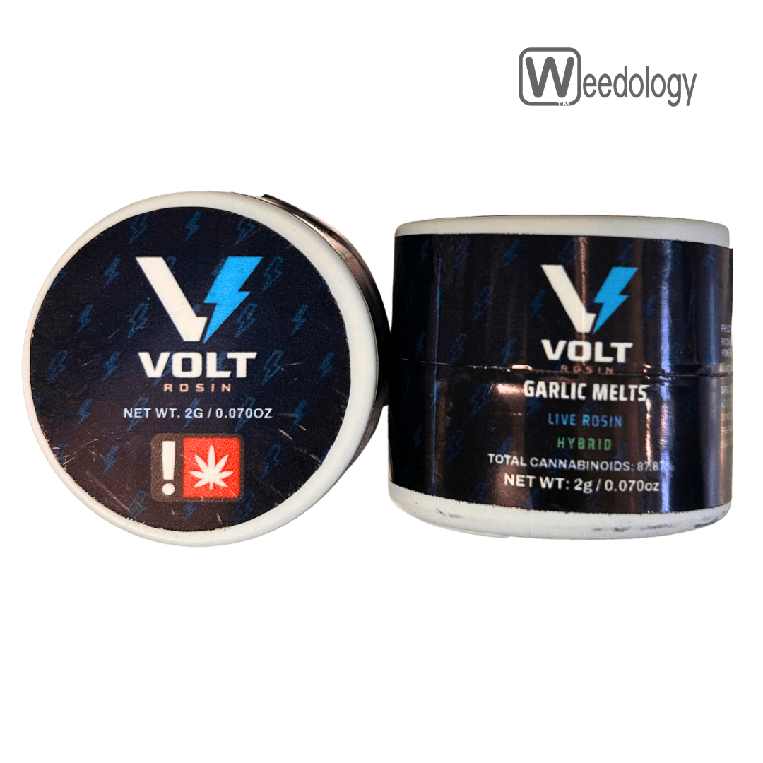 Volt