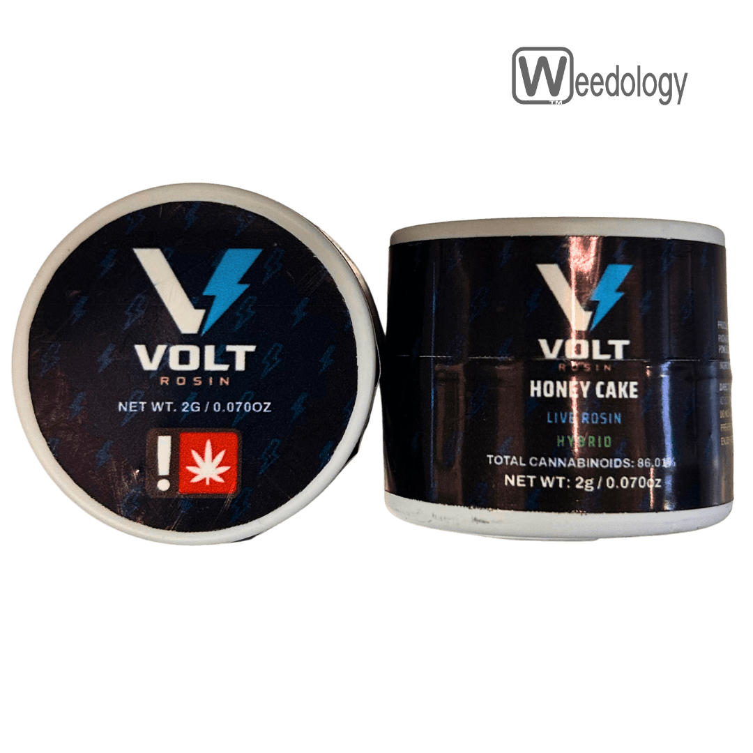 Volt
