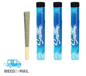 Sessions Infused Preroll - Strawberry Jam - 1g