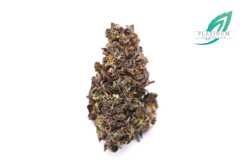 Emerald Grove Kief | 1g | Sativa | Purple Haze
