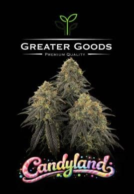 Greater Goods