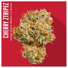 Insa Cherry Ztripez 3.5g (H)