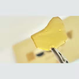 Equity Extracts Gumi 6 Shatter