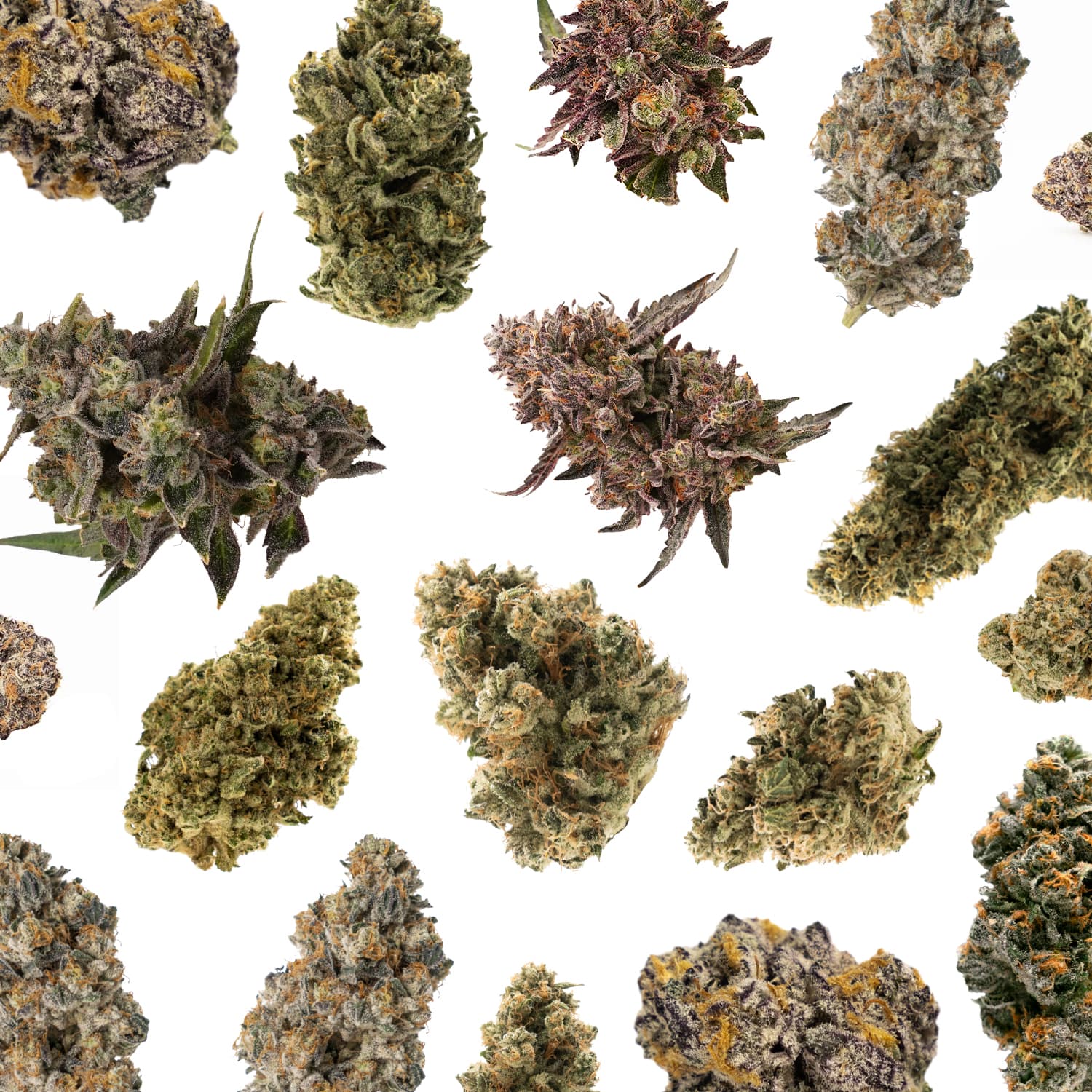 Broke Boyz Broke Boyz | Flower | Bulk Bigs | Atomic Petro
