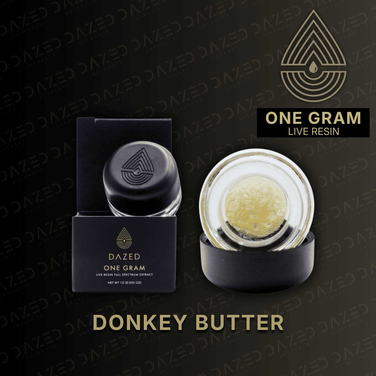 Dazed Extracts