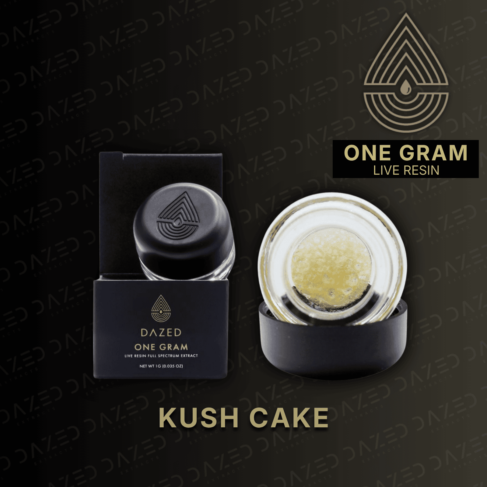Dazed Extracts