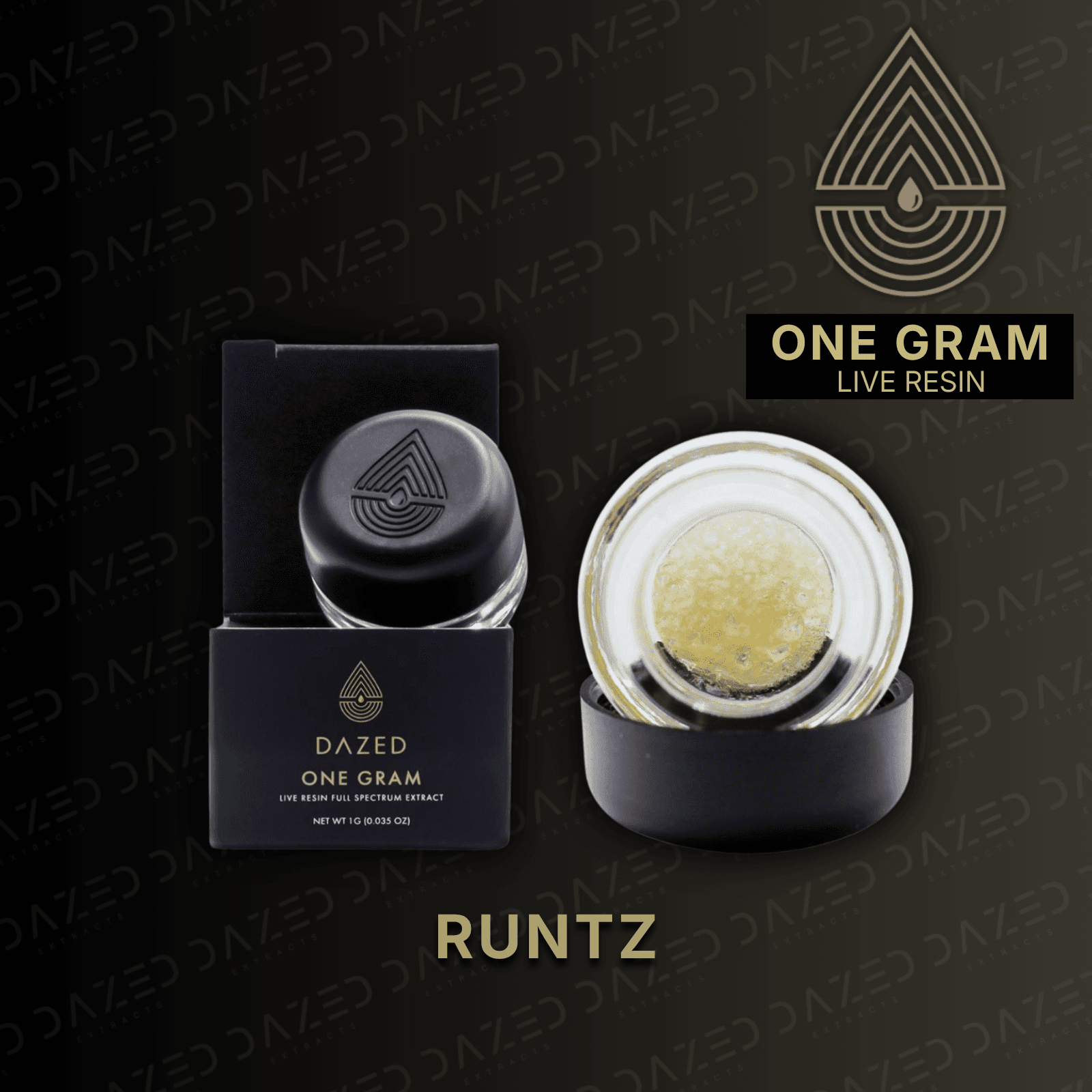 Dazed Extracts