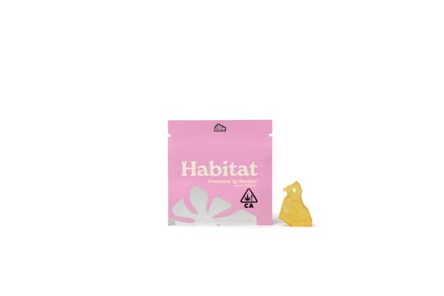 Habitat Space Lemonade Shatter - 1g