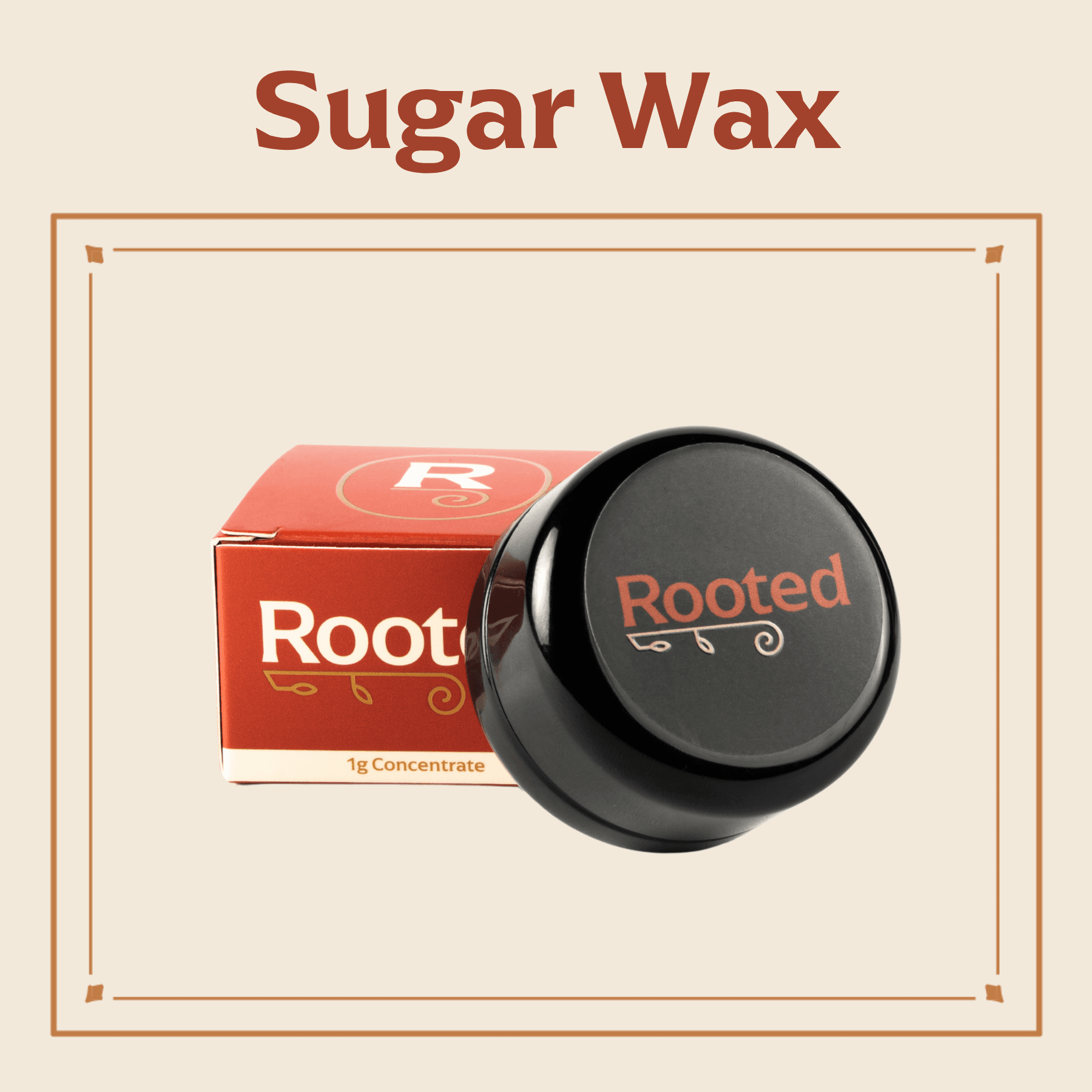 Rooted Lord Licorice Sugar Wax | 1g