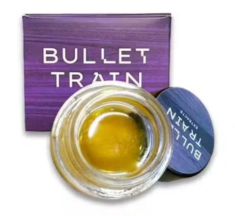 Bullet Train ROAD TRIP | LIVE BADDER | 1G