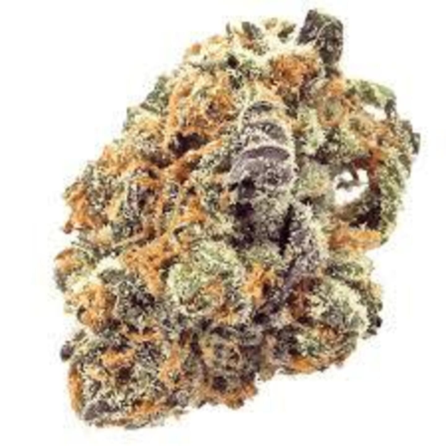 Cannasol Cosmic Charlie CBD 1:1 Flower (Cannasol)