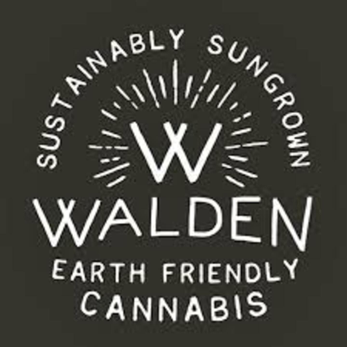 Walden Carnival -14x.5g - Preroll - Walden