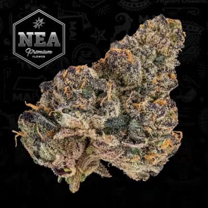 NEA Premium