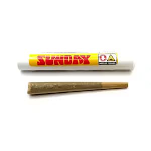 Sunday AU - Sunday | Red Velvet Pre-roll