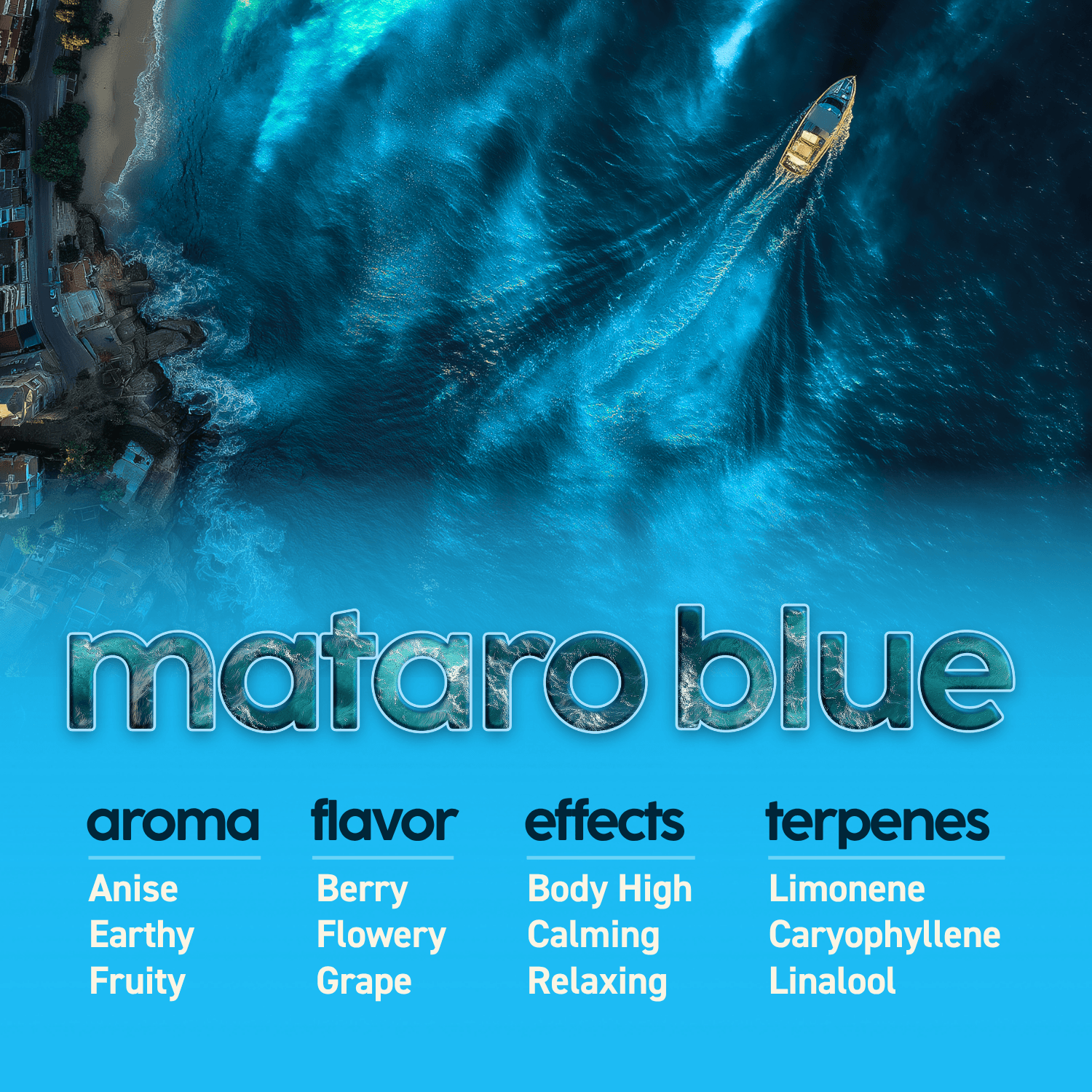 KYND Mataro Blue Flower