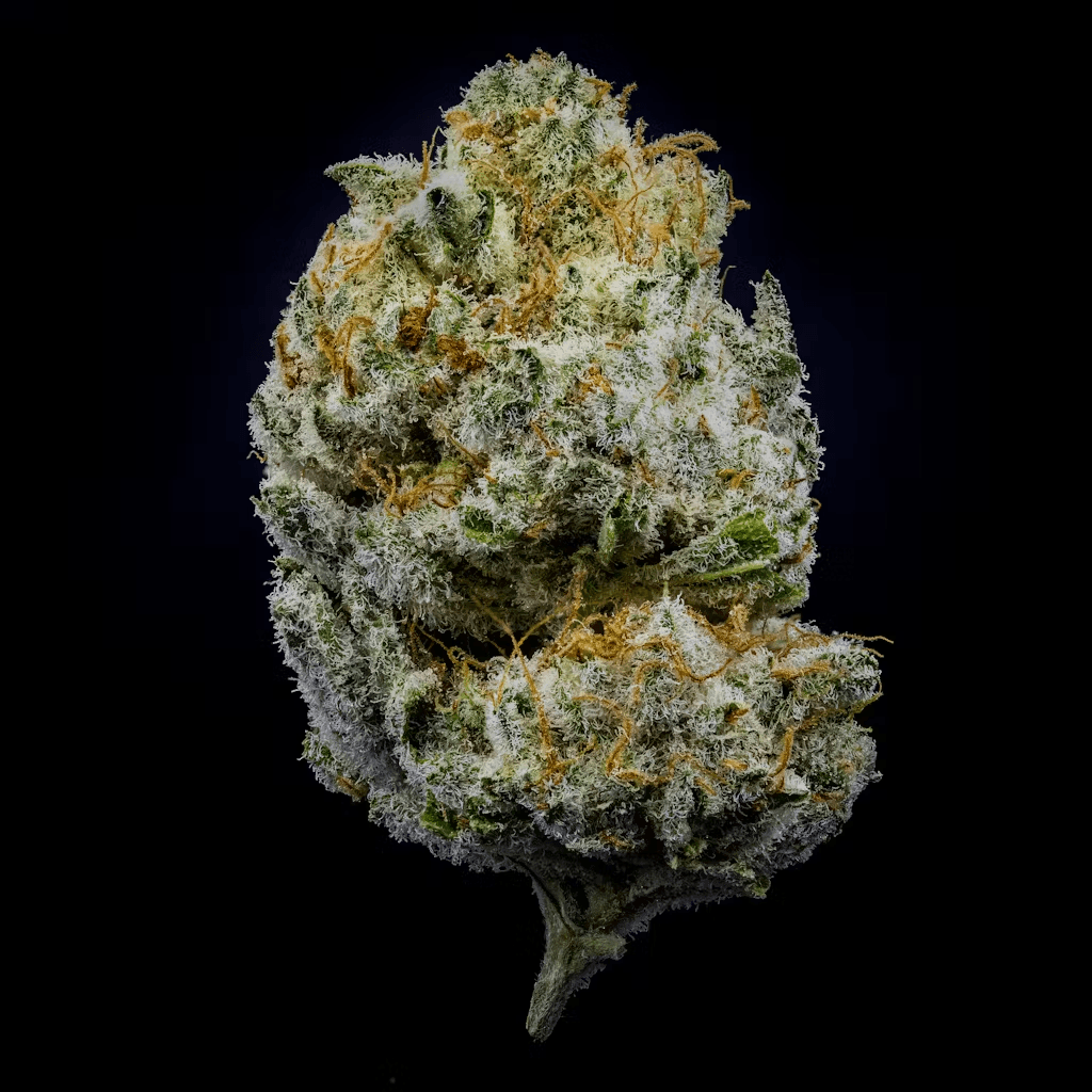 Jar Co. Silver Kush
