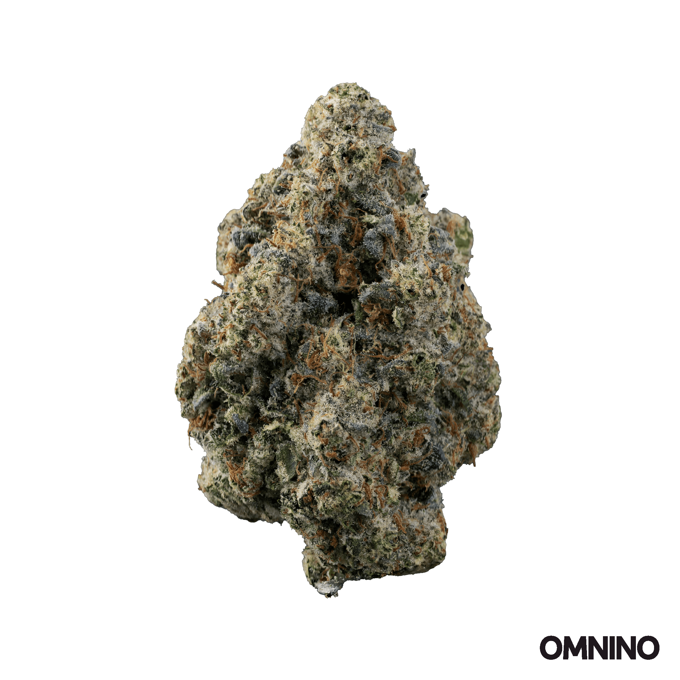 Omnino