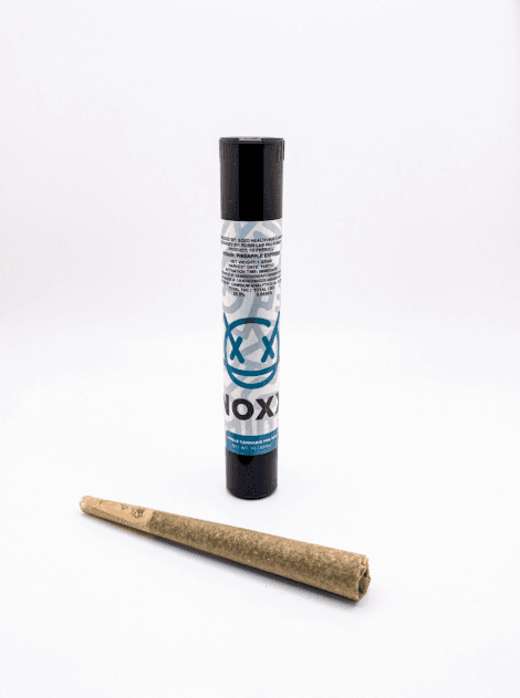 Noxx Noxx Single PreRoll - Gelato