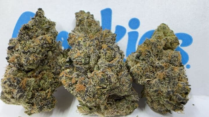 Cookies Cookies Blue Razz Prepack Bud