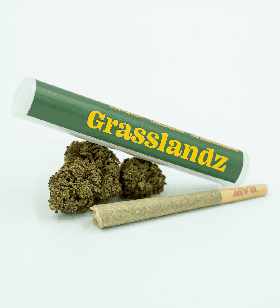 Grasslandz