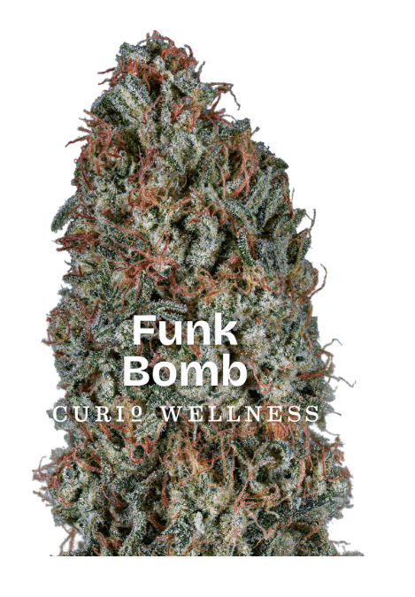 Curio Wellness