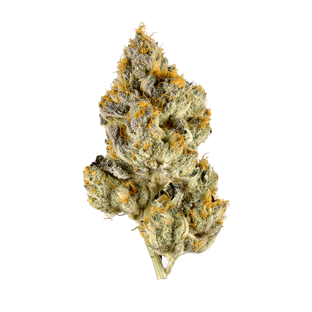 The Cure Co. Lemon Cherry Gelato I 3.5g