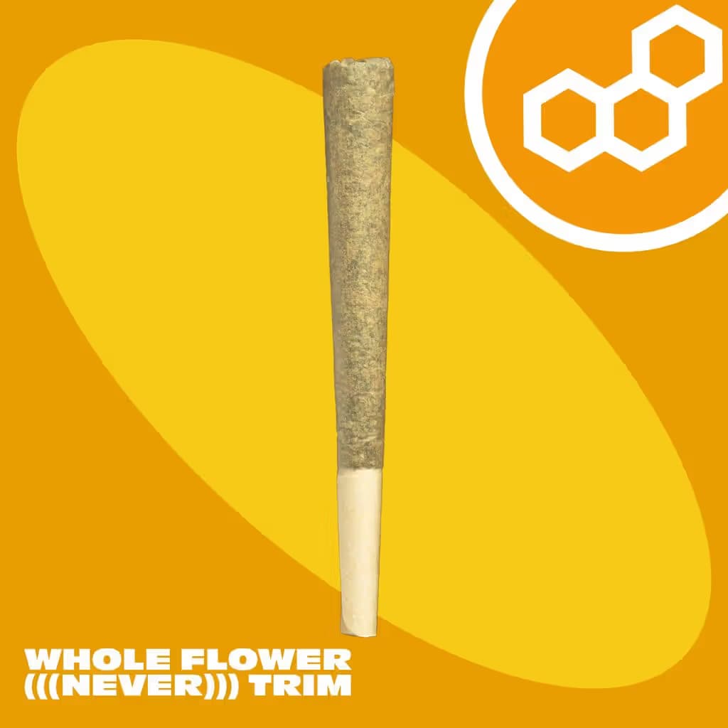 Theraplant Banana Breeze 1g PR 42024