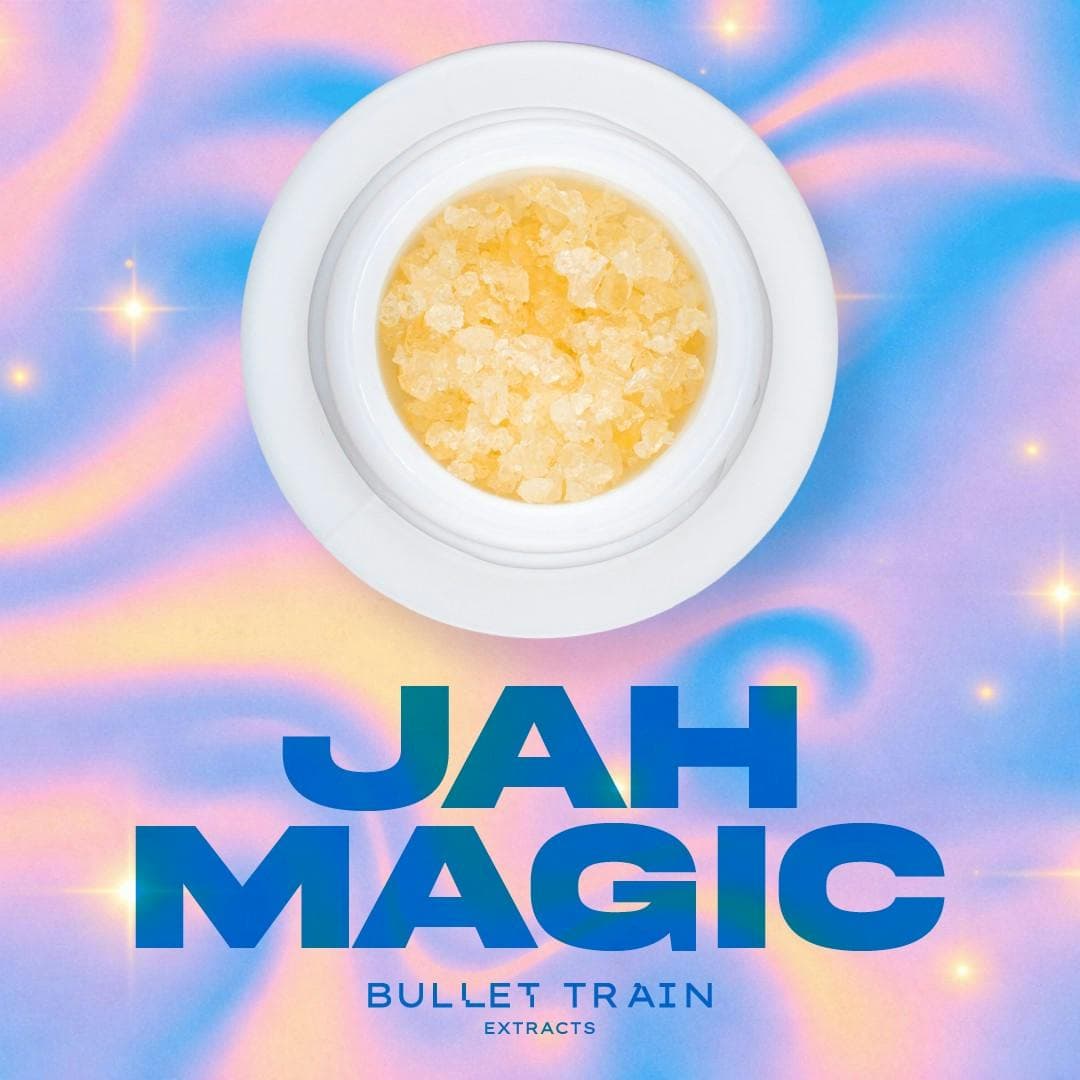 Bullet Train Extracts