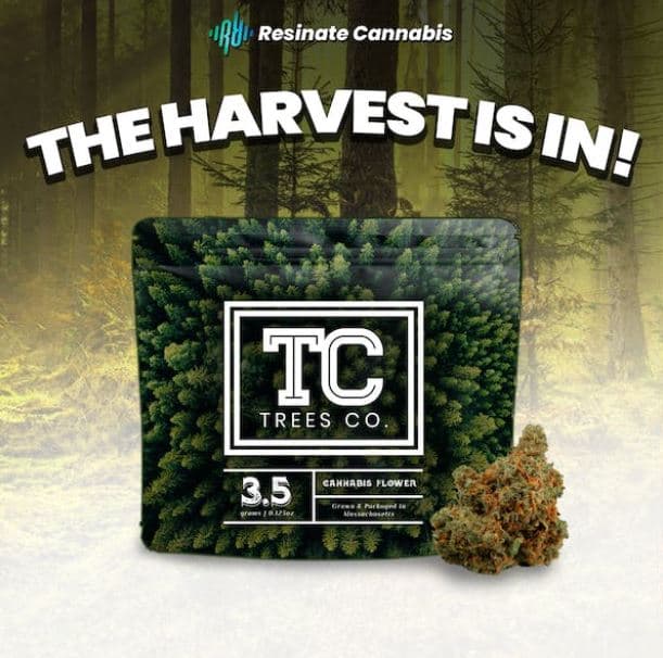 Trees Co