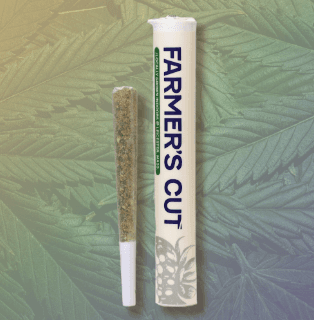 Farmer's Cut Platinum Garlic | Single Pre-Roll | 1g