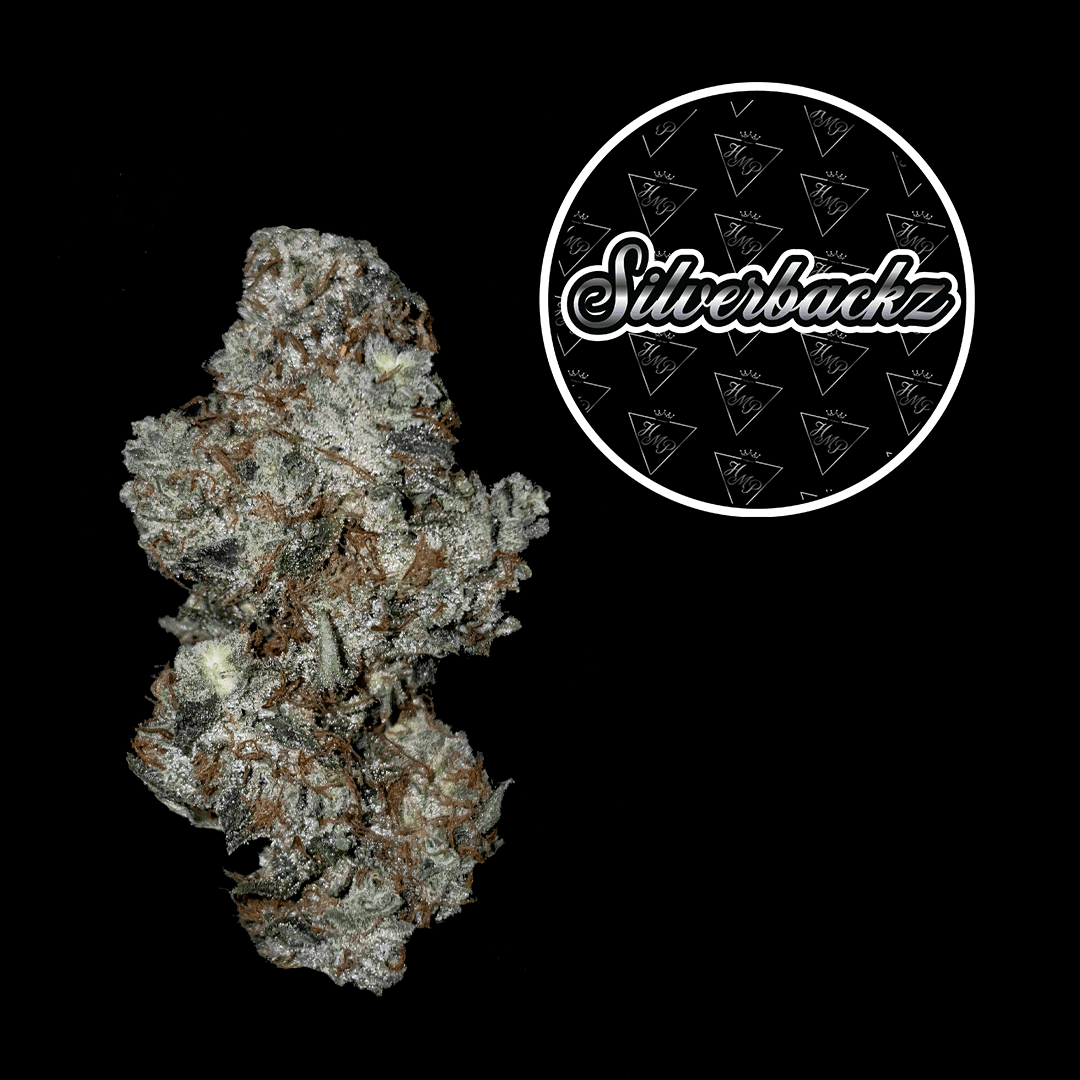 HighMark Provisions Silverbackz 0.5g Pre-Roll  | 5pk - Highmark Provisions