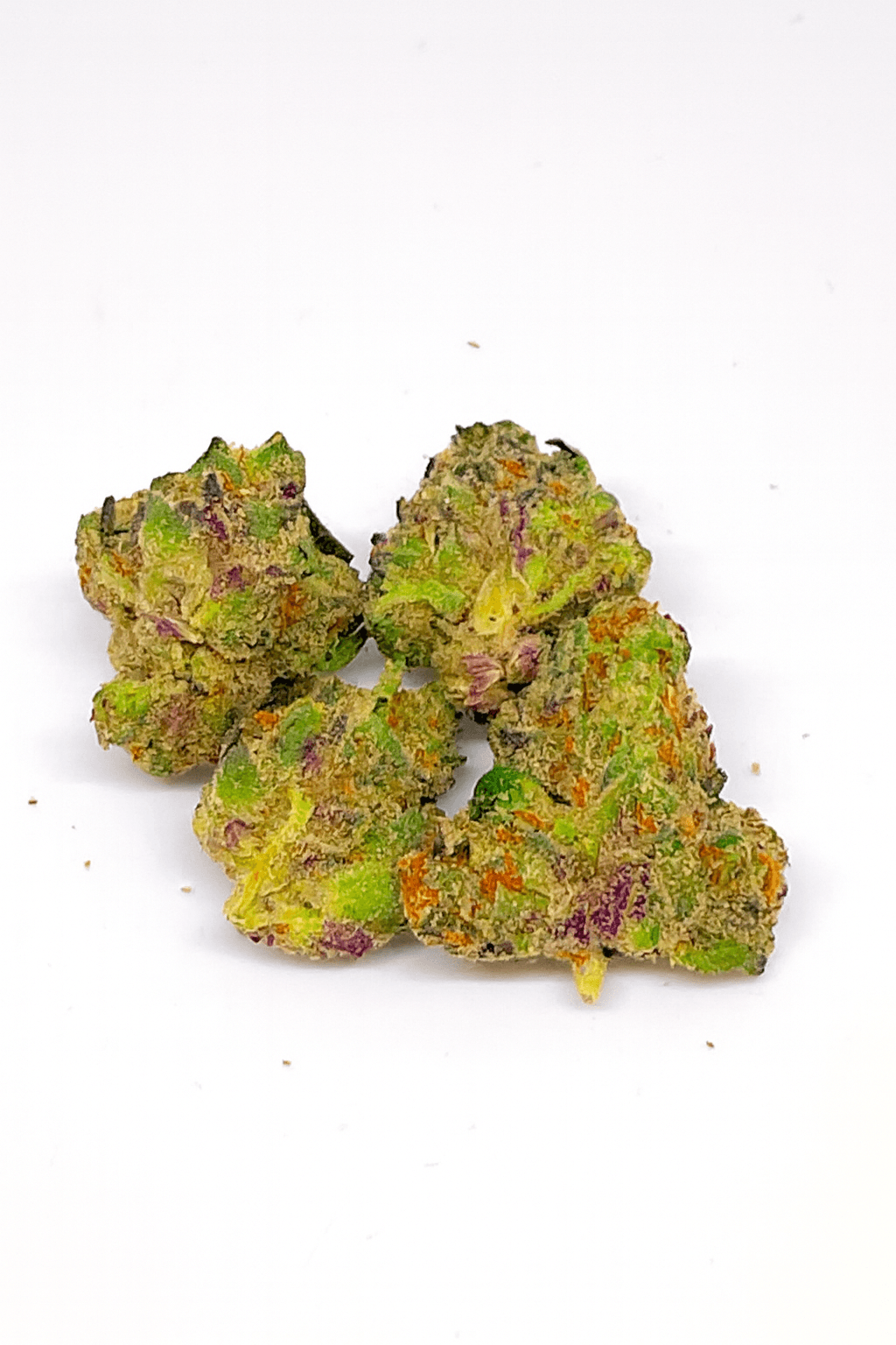 Craft Hydroponic