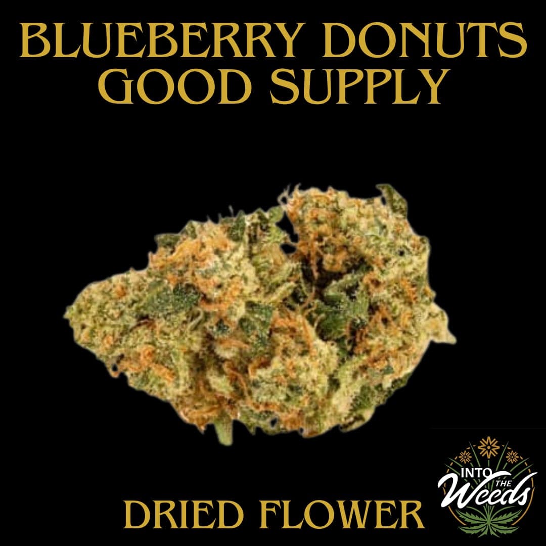 Good Supply Blueberry Donuts - Good Supply - Dried Flower