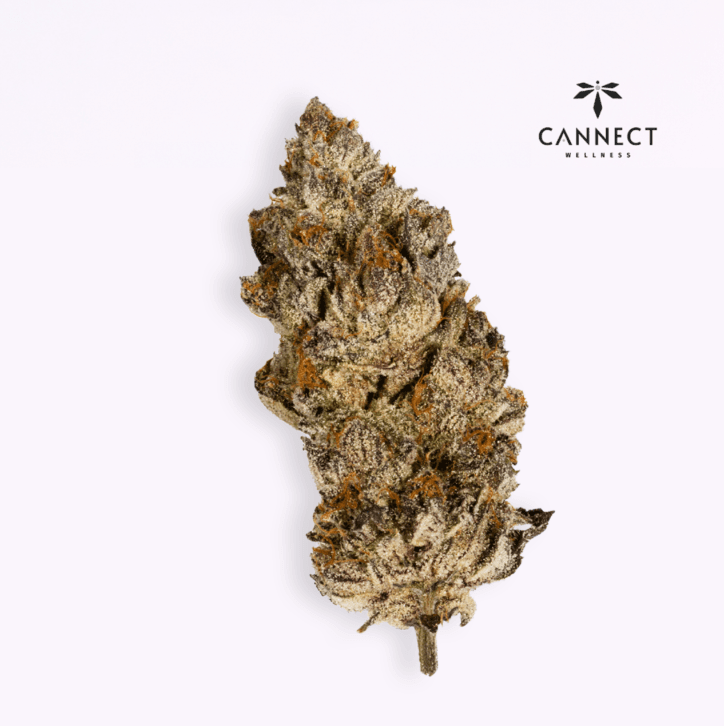 Cannect Acai Gelato x Sherb Live Badder