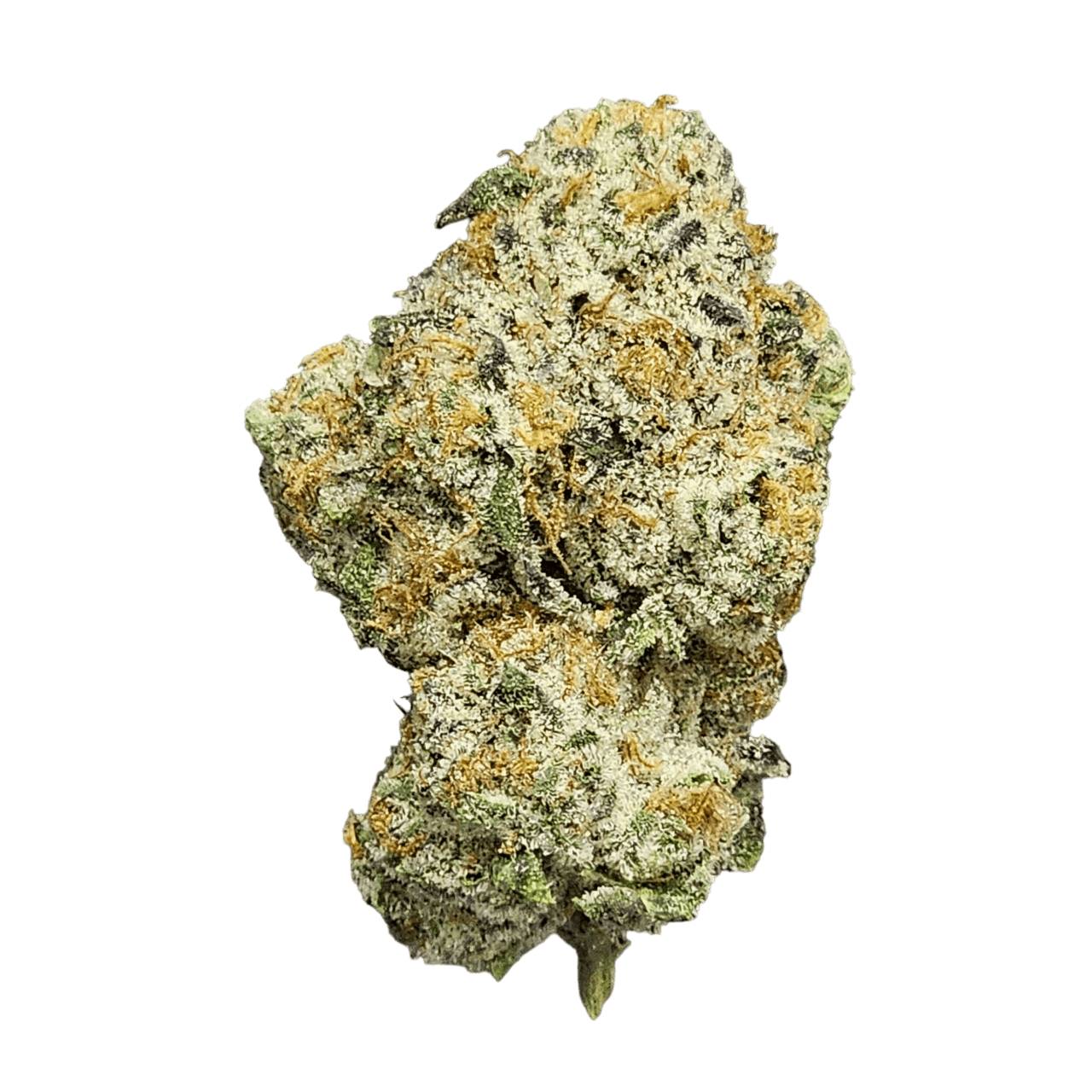 DR. JC'S  Exotics DR. JC's Exotics Runtz Buds