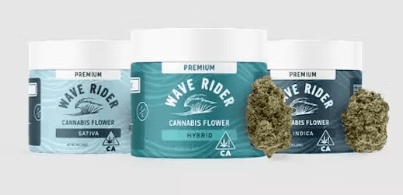 Wave Rider PURPLE OCTANE | FLOWER | 7G