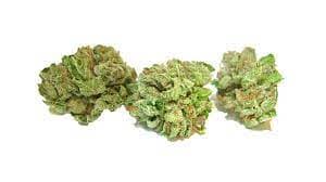 Canna Stix GARY SATAN - POPCORN - 14 G