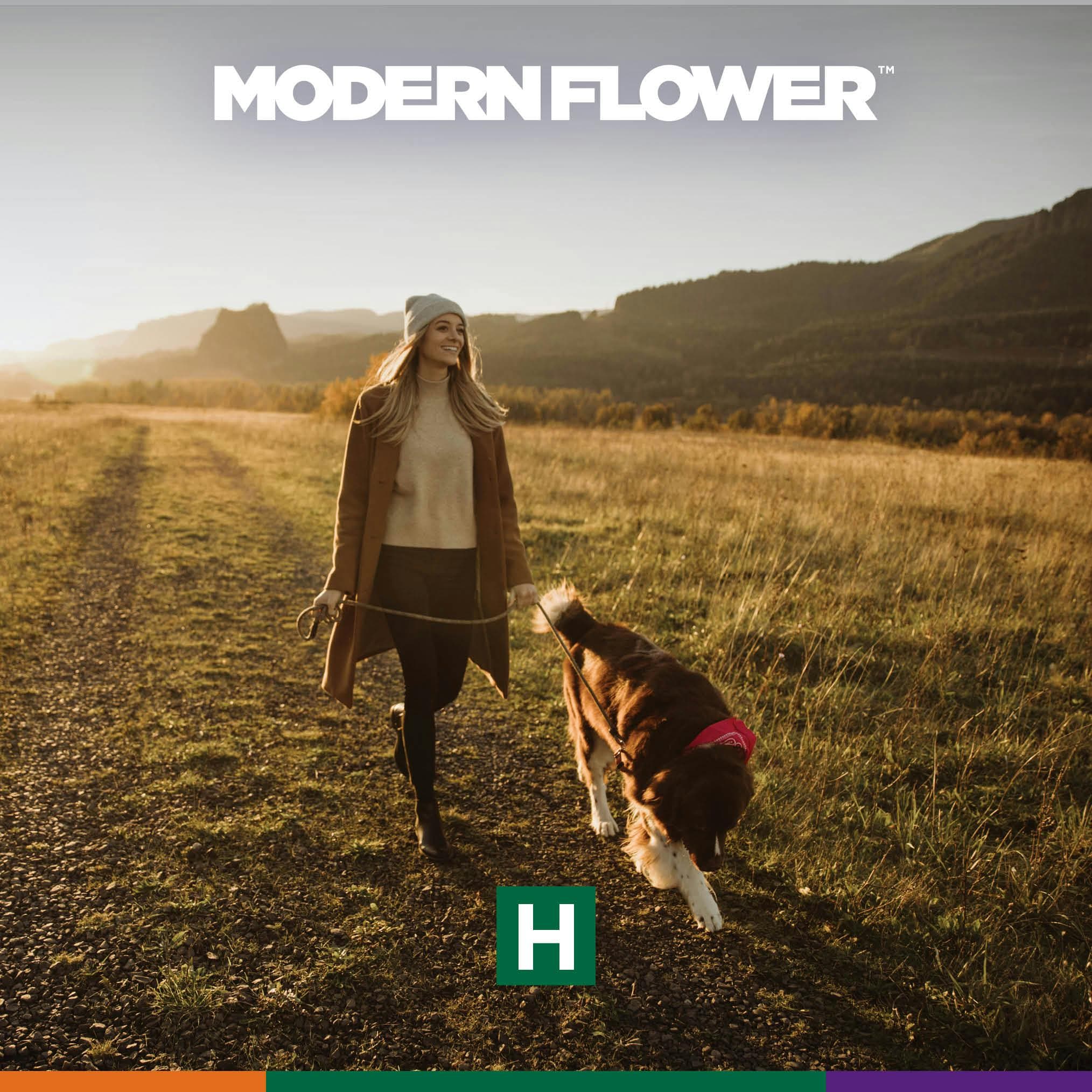 Modern Flower